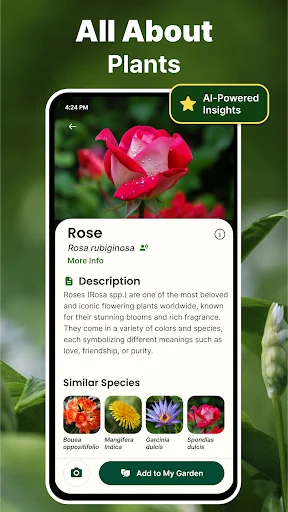 Rose identification results with AI insights, plant description, similar species, and option to save to personal garden