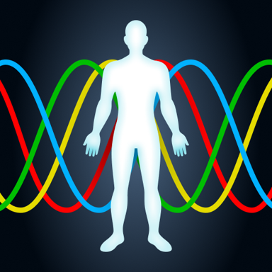 Biorhythms - Biological Cycles