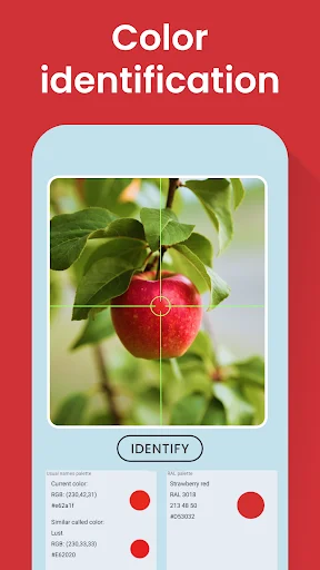 Color Identification app main screen showing red apple with crosshair targeting tool and identified color values for HTML, RGB, and RAL codes