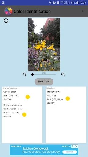Color Identification app displaying yellow flowers photo with identified yellow color values and similar golden shade options