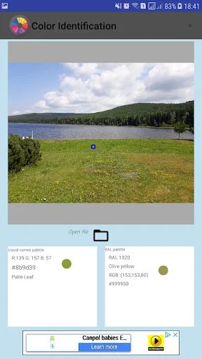 Color Identification app showing landscape photo with lake and trees, identified color values, and similar color palette information