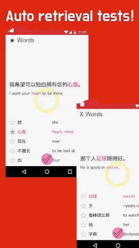 Auto-generated language tests with Chinese vocabulary, pinyin, and English translations for continuous practice