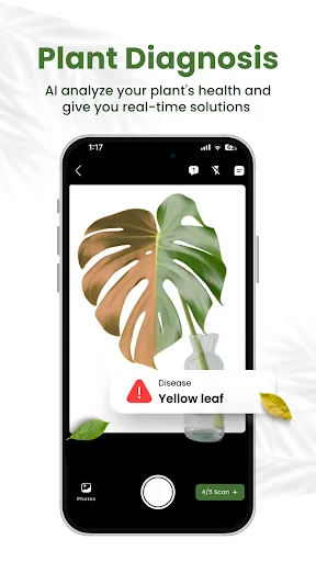Plant Diagnosis AI tool analyzing Monstera health detecting Yellow leaf disease with real-time solutions