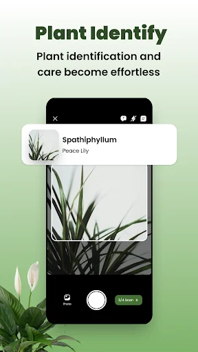 Plant Identifier app camera capturing Spathiphyllum plant for instant identification and care information