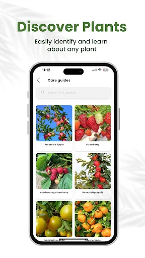 Discover Plants care guides grid showing plant categories with visual thumbnails for plant learning