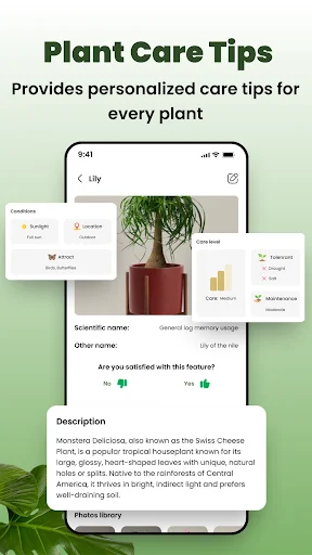 Plant Care Tips detailed information for Monstera including scientific name, care history and plant description