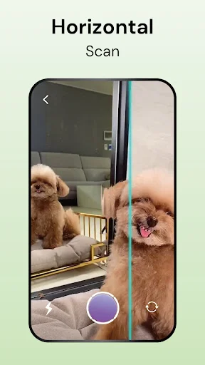 Horizontal scan time warp filter creating dual image effect on dogs, featuring vertical cyan scan line and capture button