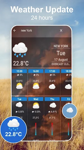 Weather Update 24-hour forecast screen for New York displaying temperature 22.8°C with hourly weather condition icons